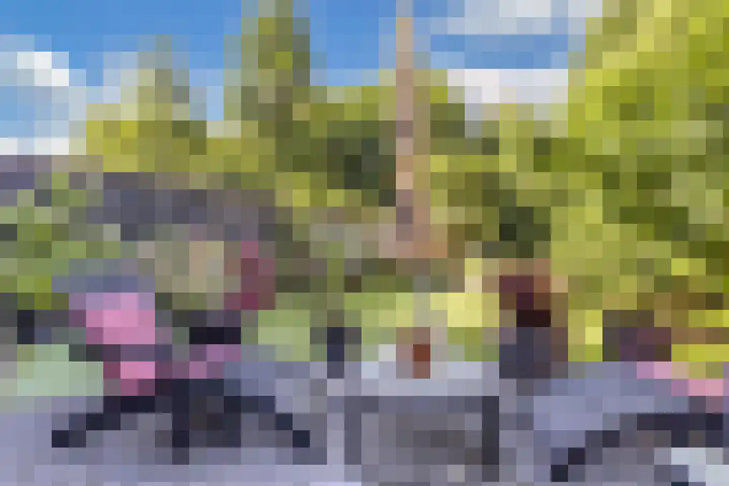 Kornputsingel 18 Steenwijk thumbnail 54