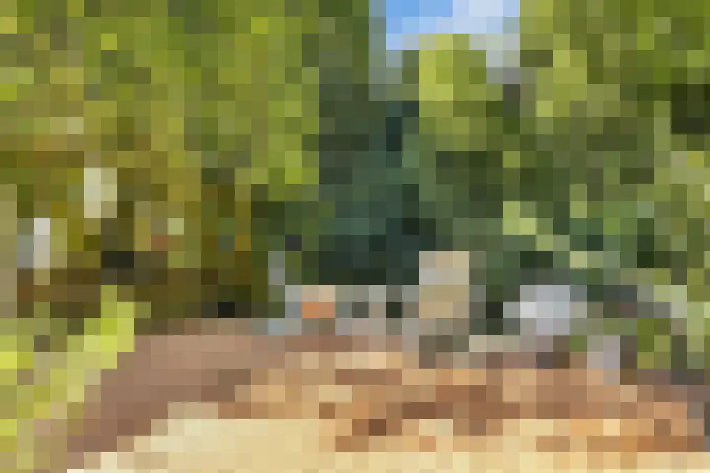 Kornputsingel 18 Steenwijk thumbnail 58