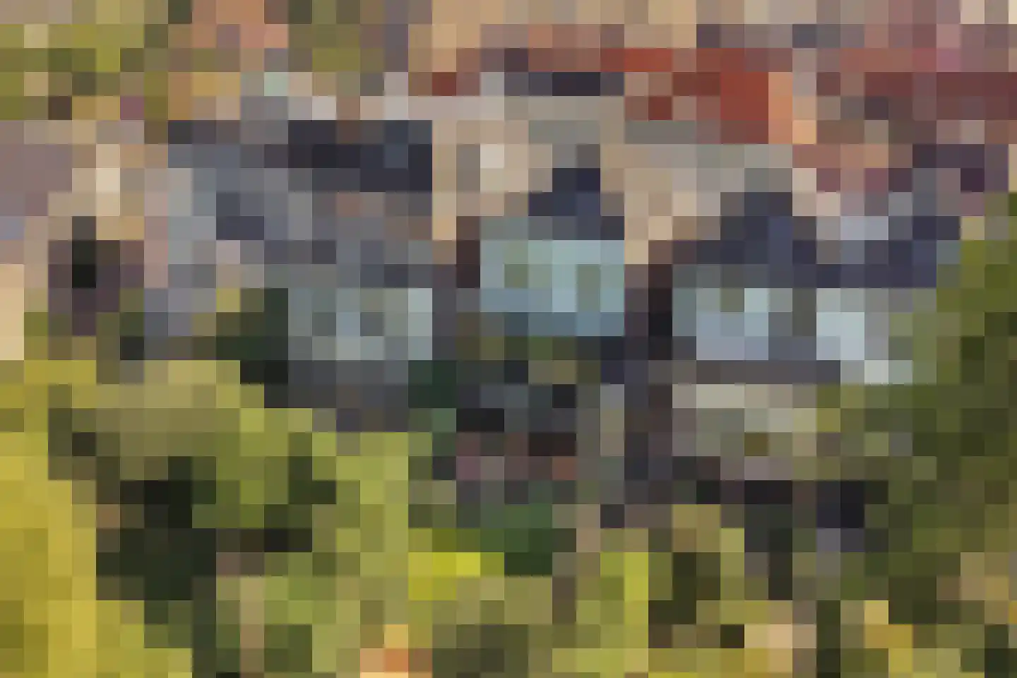 Kornputsingel 18 Steenwijk thumbnail 60