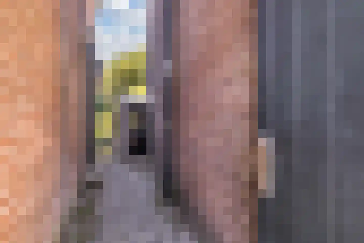 Kornputsingel 18 Steenwijk thumbnail 63