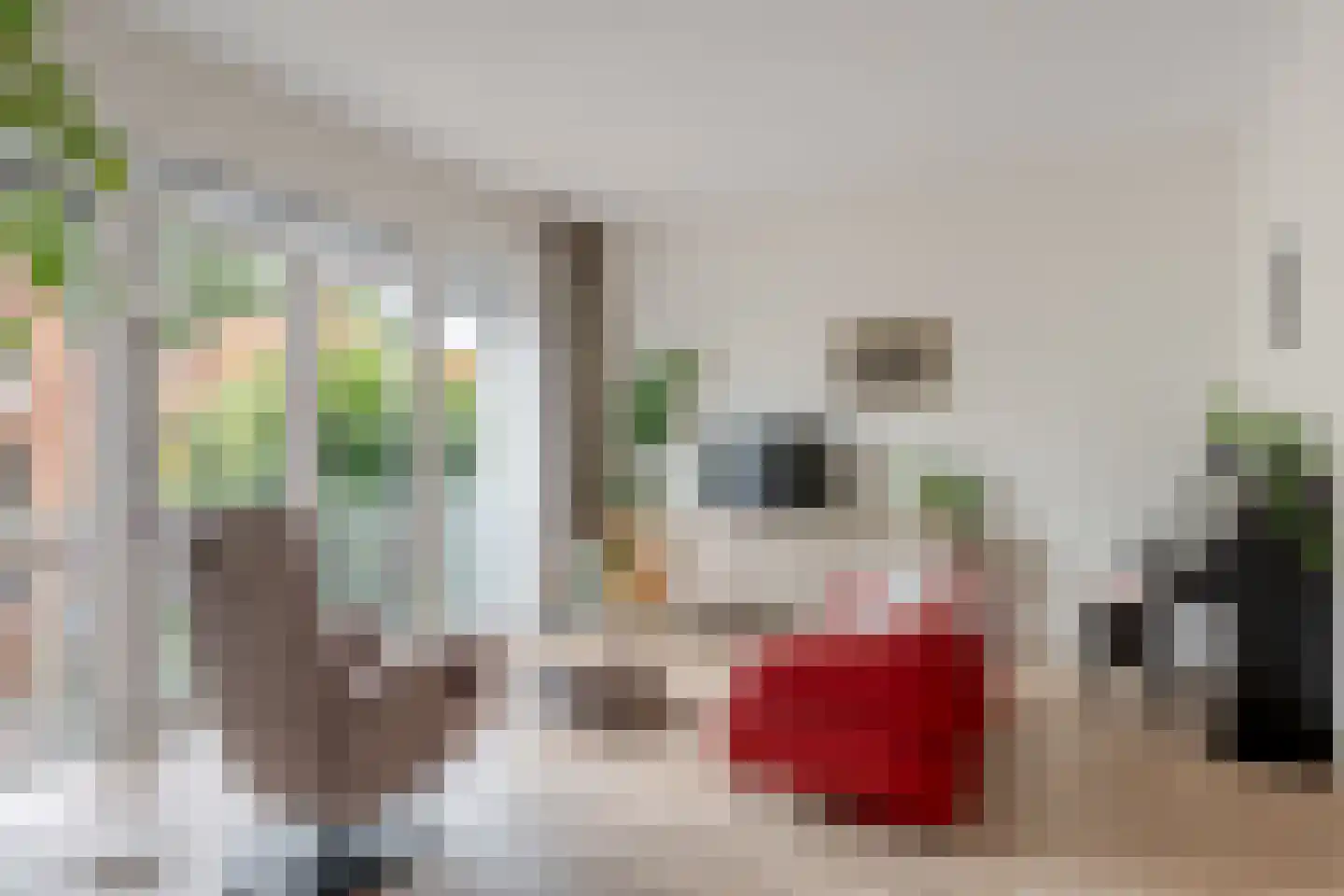 Kornputsingel 23 D Steenwijk thumbnail 14