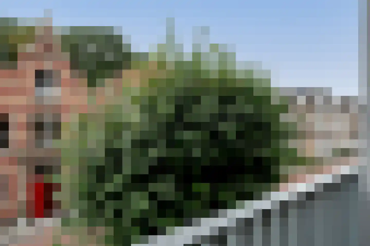 Kornputsingel 23 D Steenwijk thumbnail 20