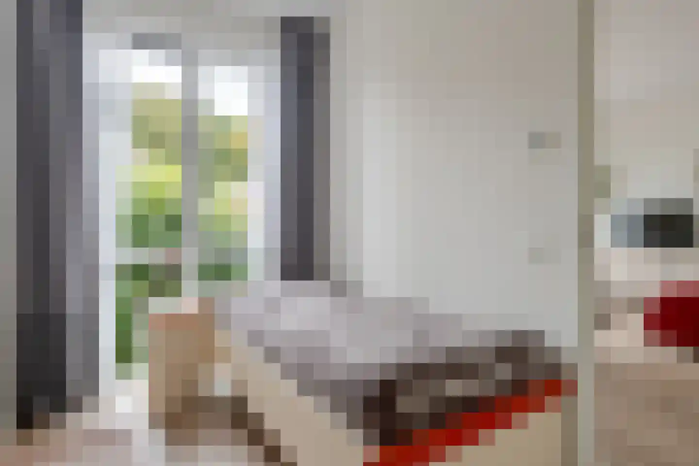 Kornputsingel 23 D Steenwijk thumbnail 22