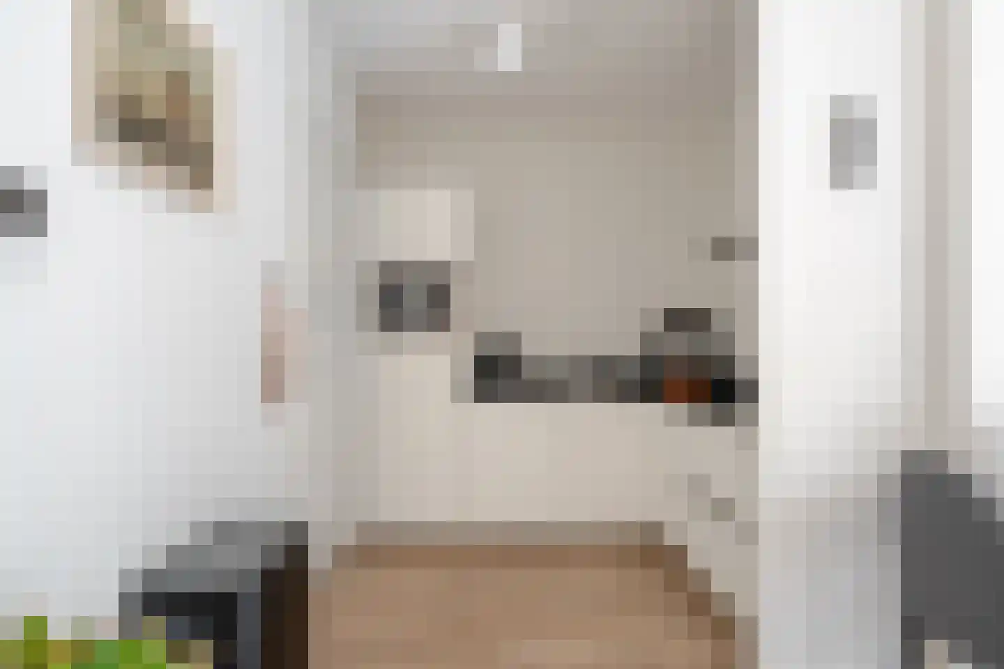 Kornputsingel 23 D Steenwijk thumbnail 25