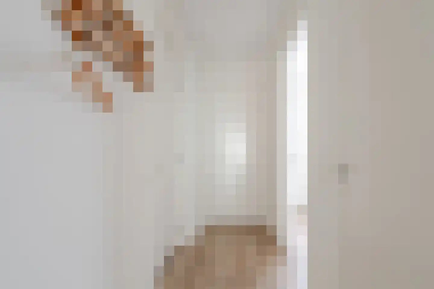 Kornputsingel 23 D Steenwijk thumbnail 30