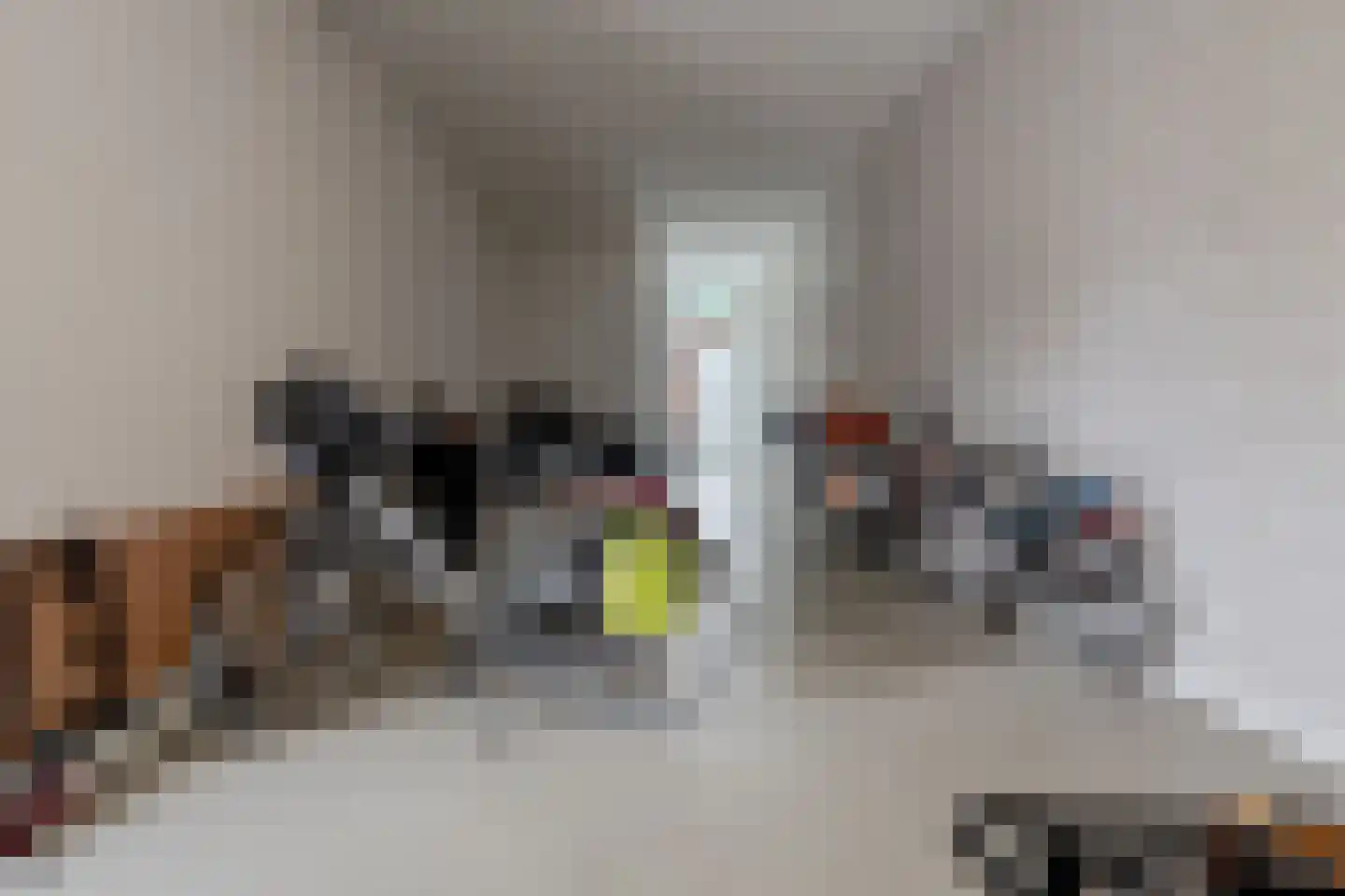 Kornputsingel 23 D Steenwijk thumbnail 39
