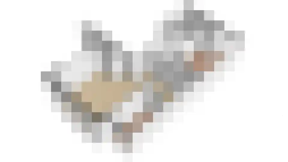 Kornputsingel 23 D Steenwijk thumbnail 47
