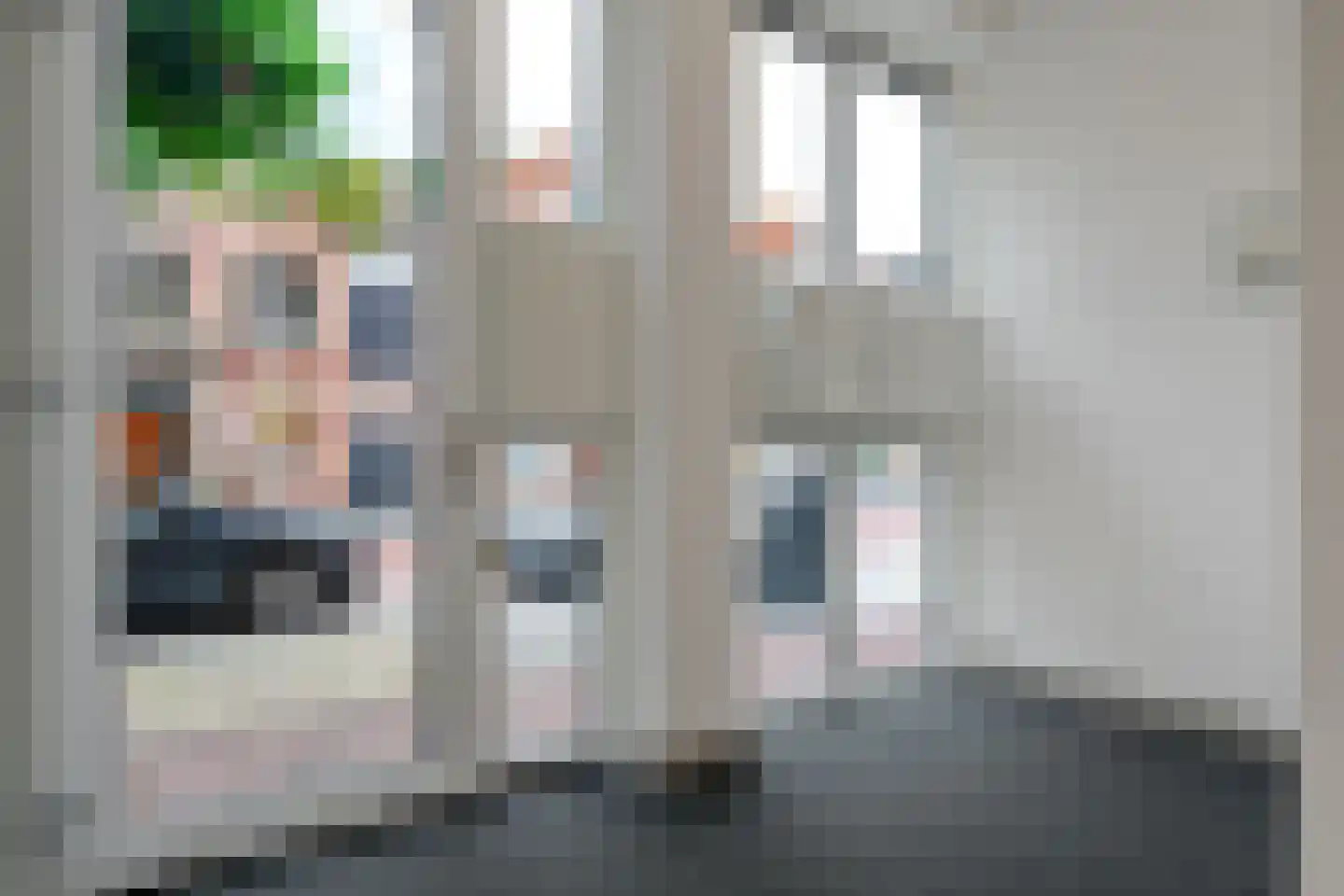 Kornputsingel 23 D Steenwijk thumbnail 6