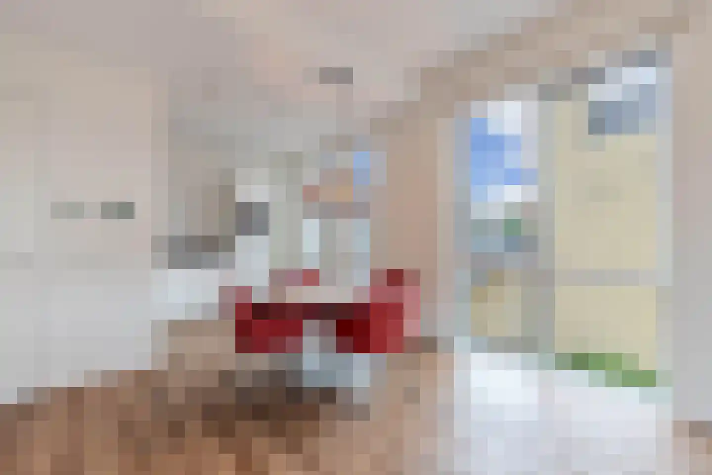 Kornputsingel 23 F Steenwijk thumbnail 12