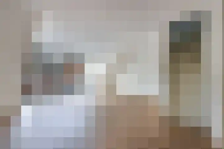 Kornputsingel 23 H Steenwijk thumbnail 12