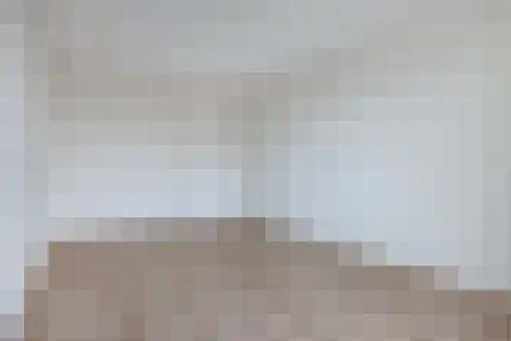 Kornputsingel 23 H Steenwijk thumbnail 14