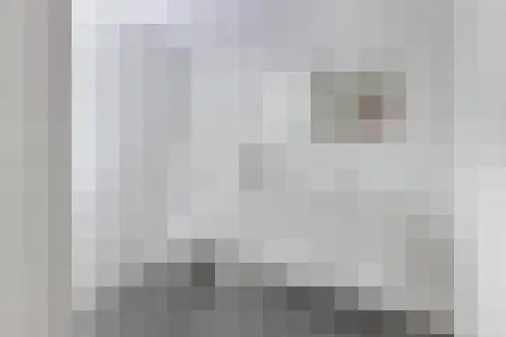 Kornputsingel 23 H Steenwijk thumbnail 15