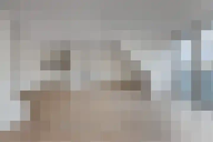 Kornputsingel 23 H Steenwijk thumbnail 4
