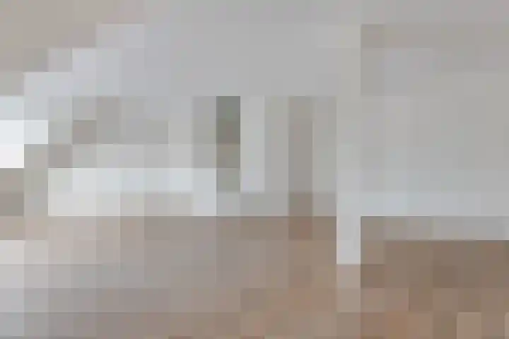 Kornputsingel 23 H Steenwijk thumbnail 9