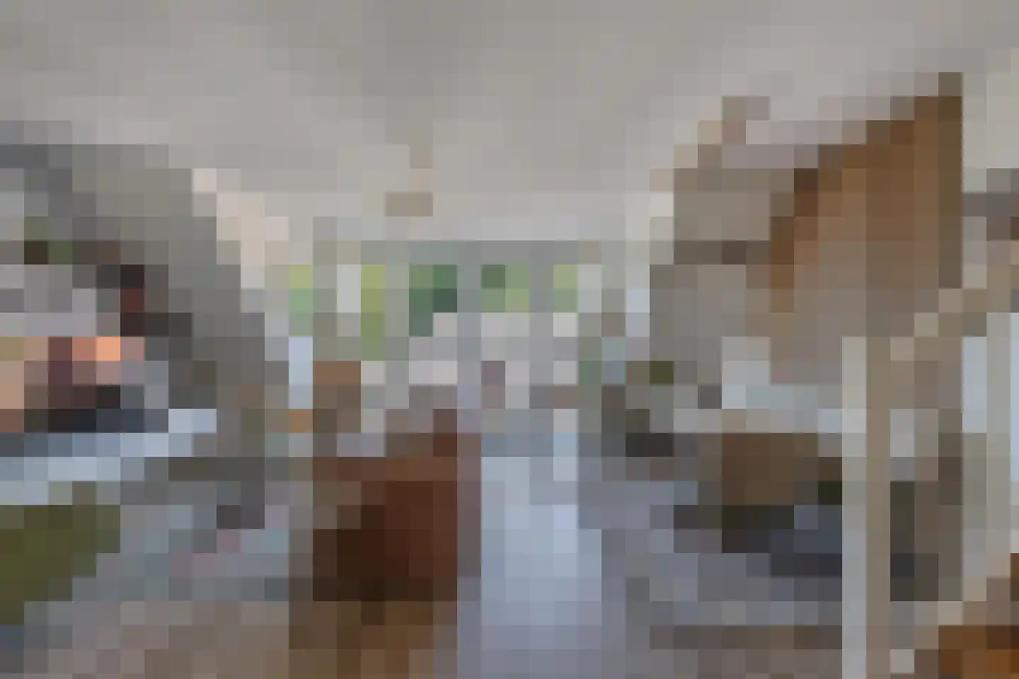 Kornputsingel 23 K Steenwijk thumbnail 11