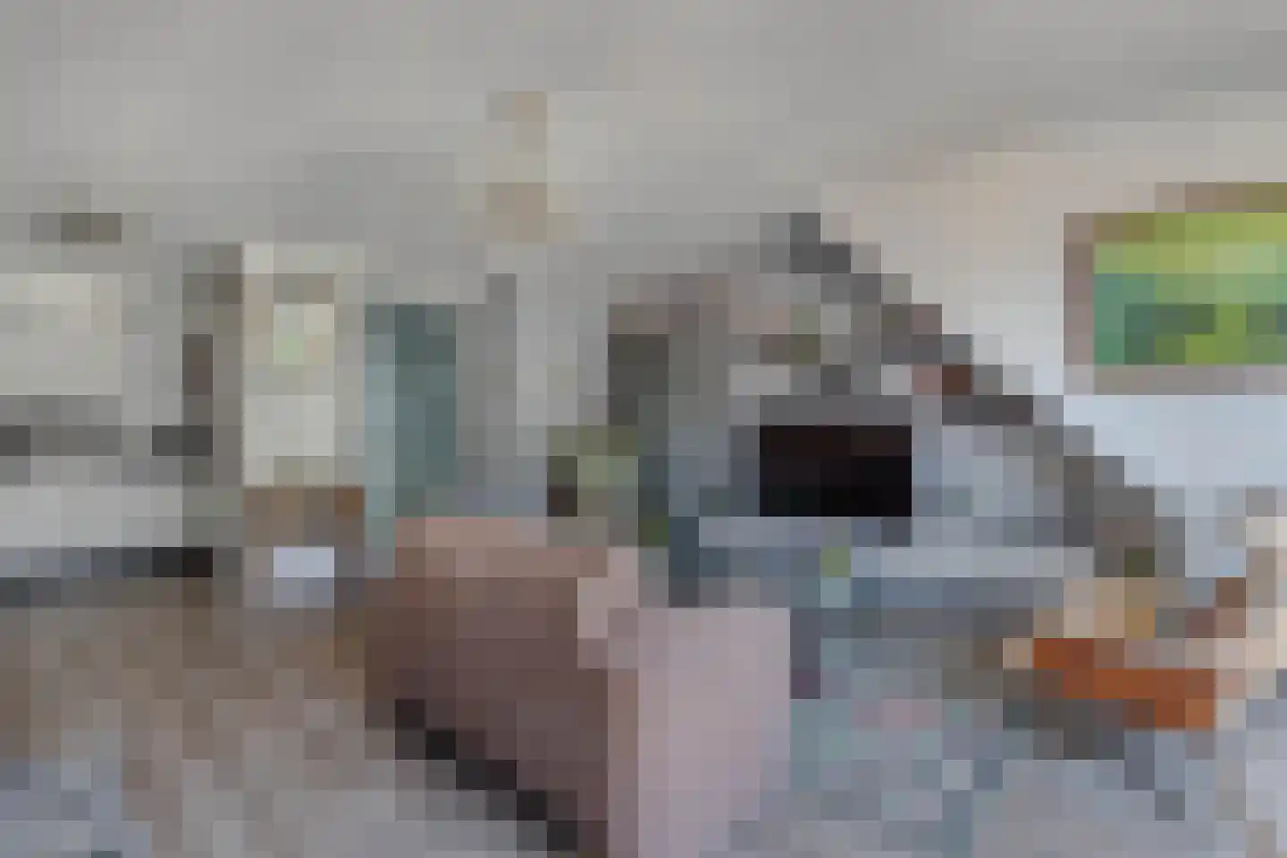 Kornputsingel 23 K Steenwijk thumbnail 13