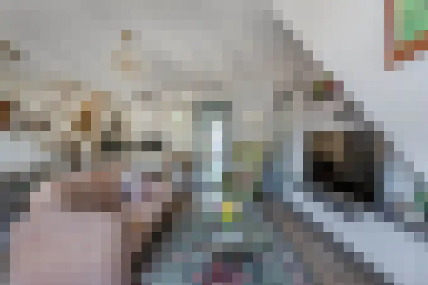 Kornputsingel 23 K Steenwijk thumbnail 14