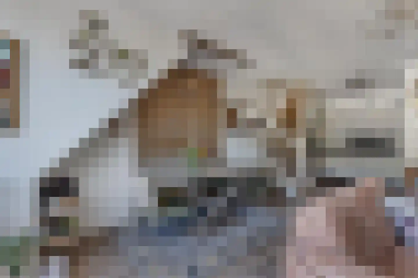 Kornputsingel 23 K Steenwijk thumbnail 15