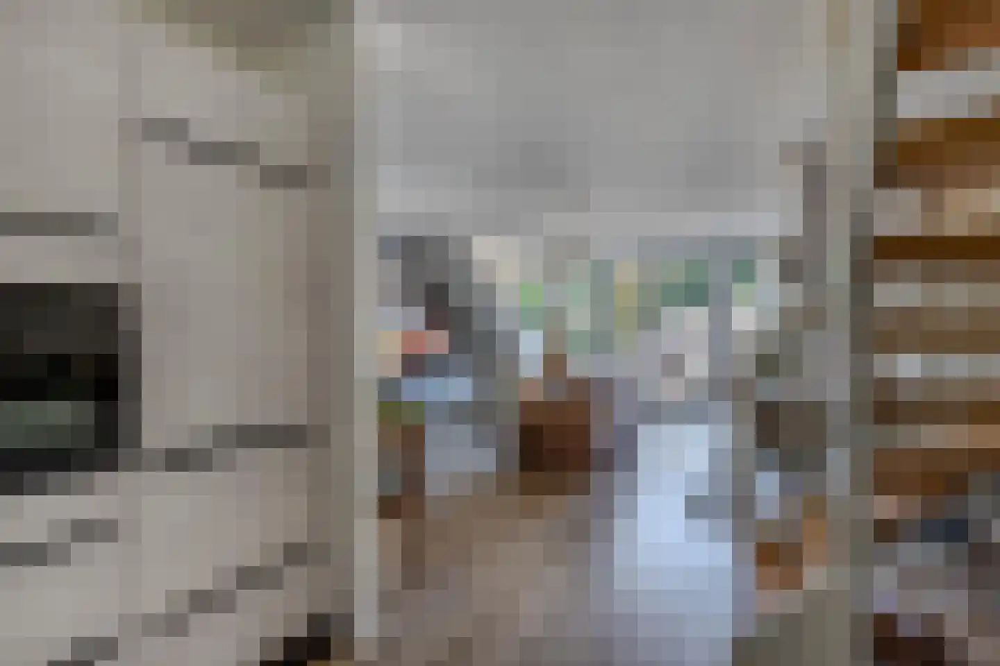 Kornputsingel 23 K Steenwijk thumbnail 18