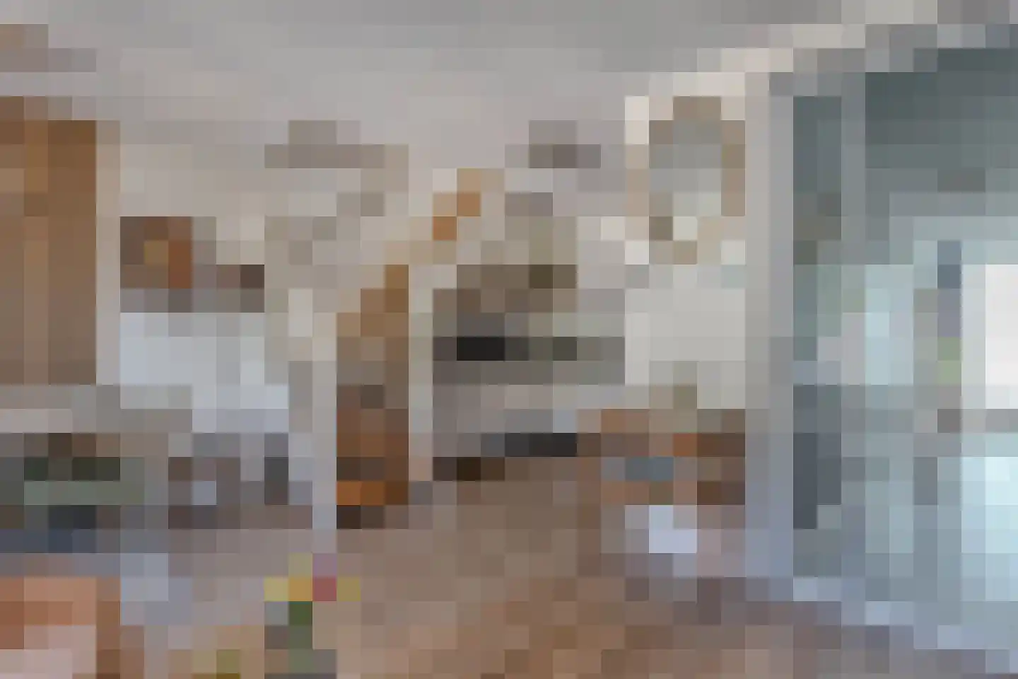 Kornputsingel 23 K Steenwijk thumbnail 19