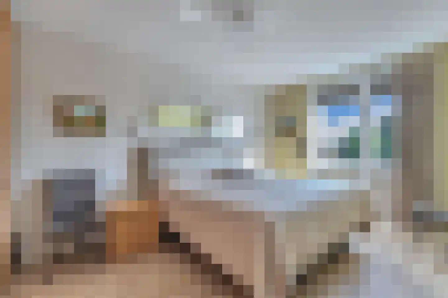 Kornputsingel 23 K Steenwijk thumbnail 20