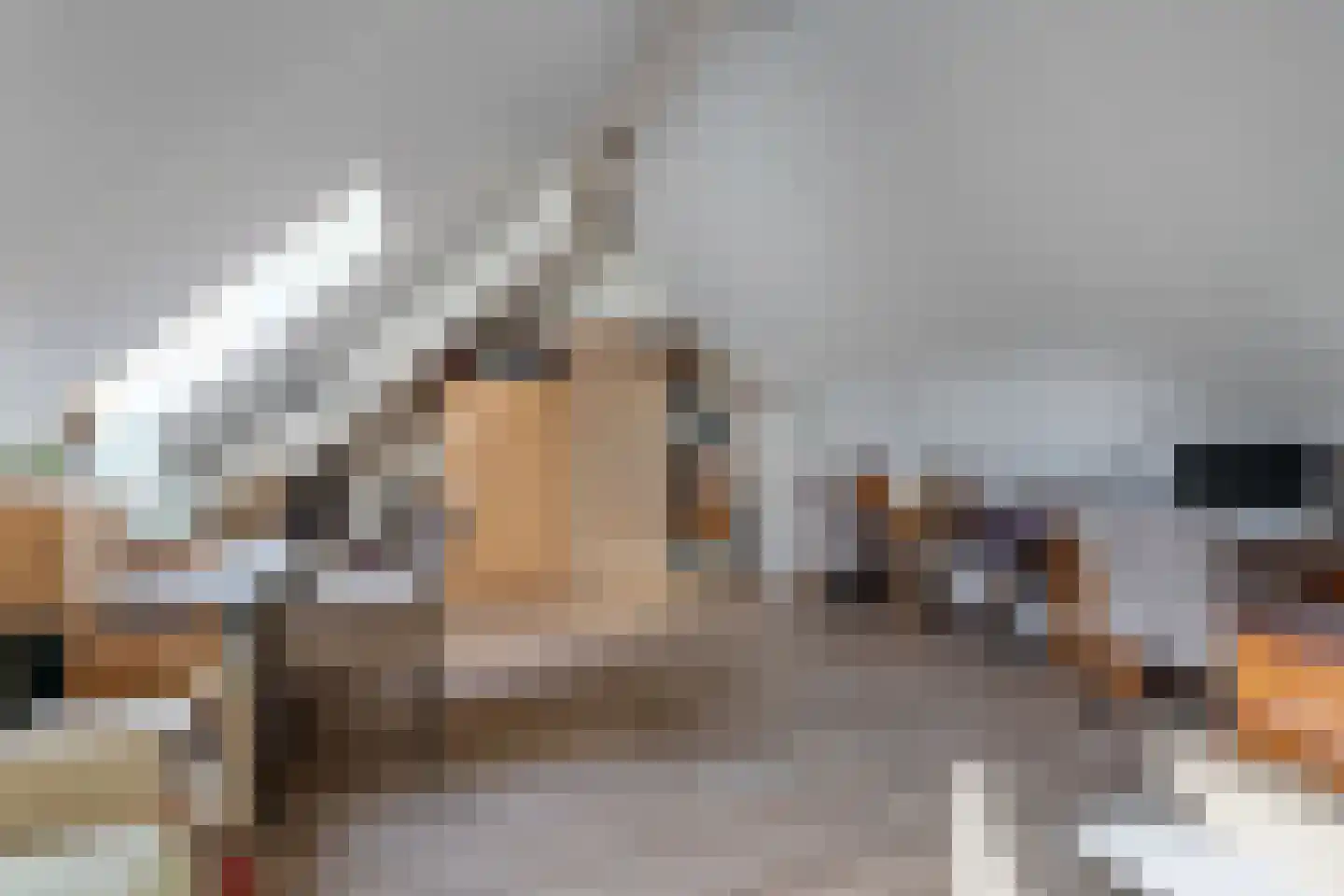 Kornputsingel 23 K Steenwijk thumbnail 28