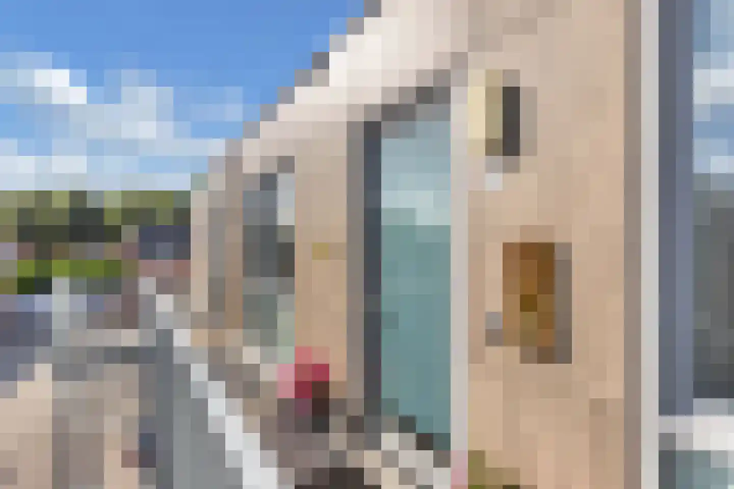 Kornputsingel 23 K Steenwijk thumbnail 4