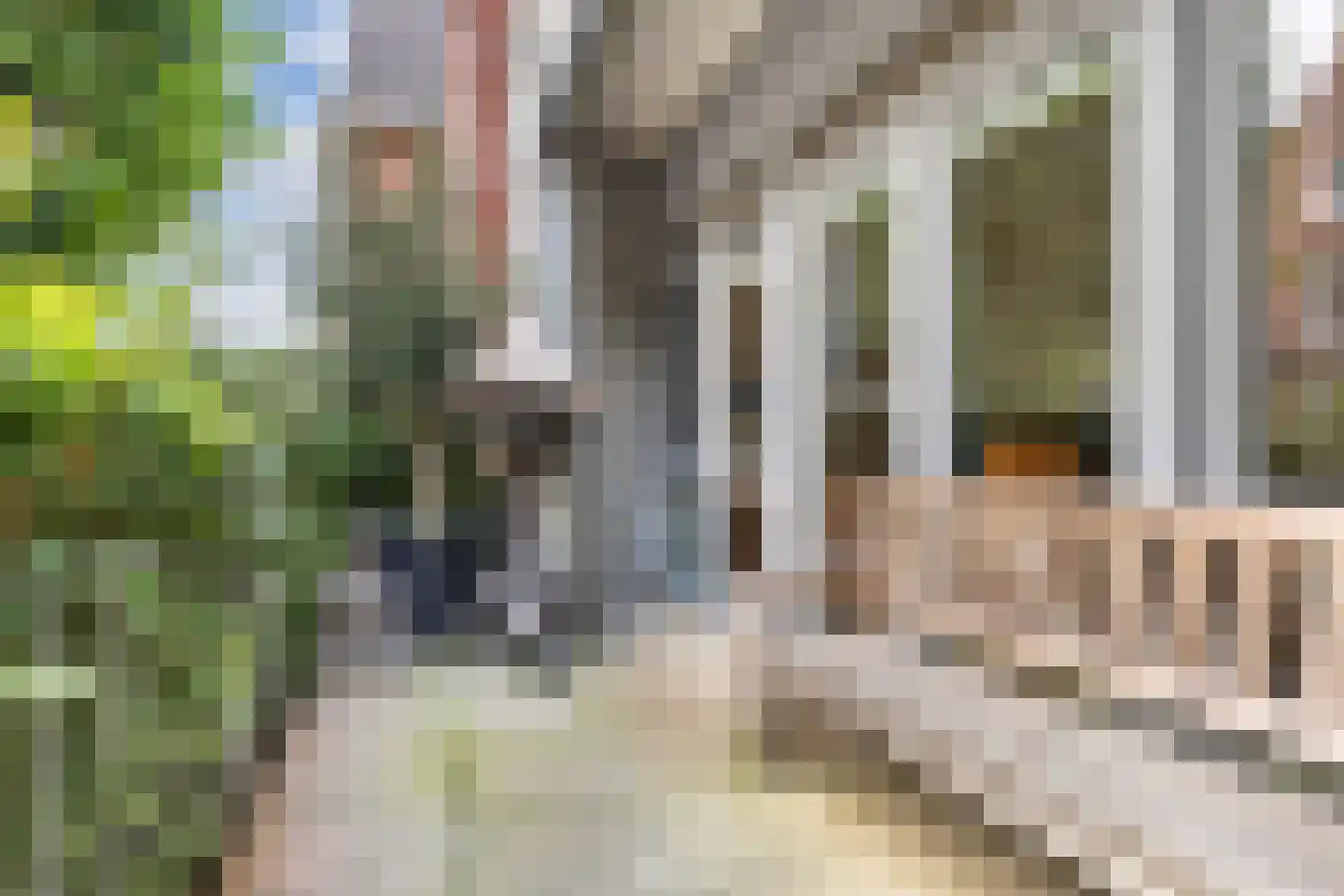 Kornputsingel 23 Steenwijk thumbnail 25