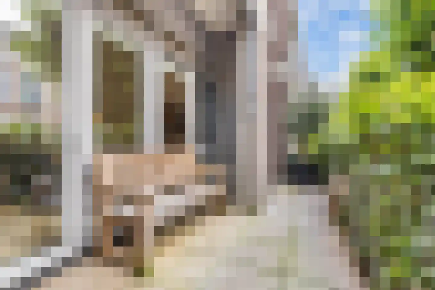Kornputsingel 23 Steenwijk thumbnail 26