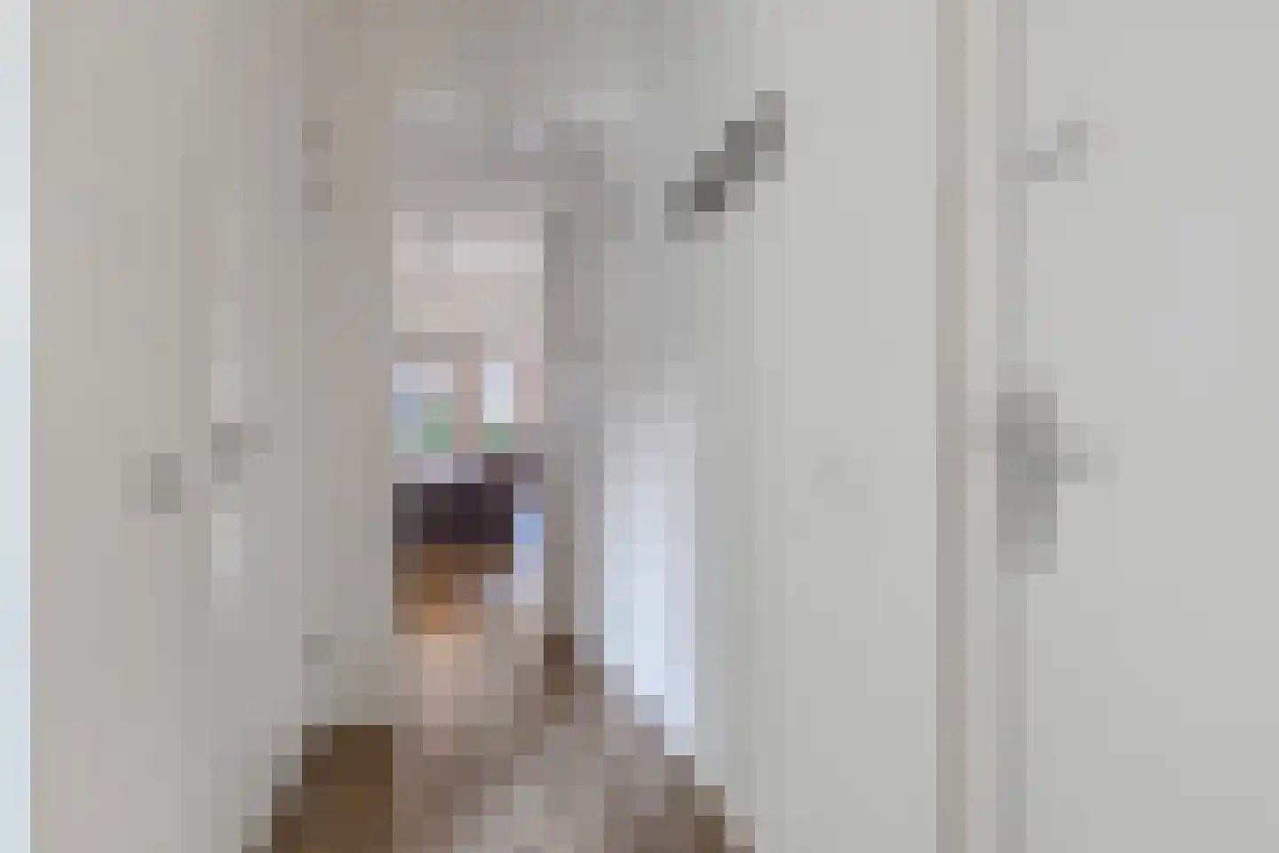 Kornputsingel 23 Steenwijk thumbnail 7