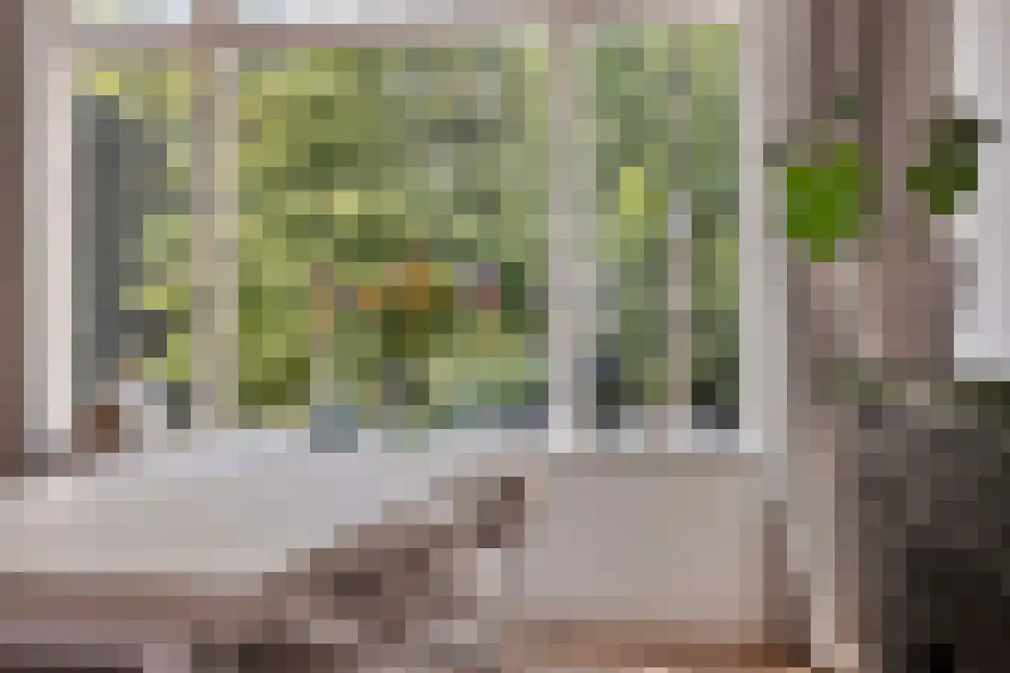Kornputsingel 24 Steenwijk thumbnail 13