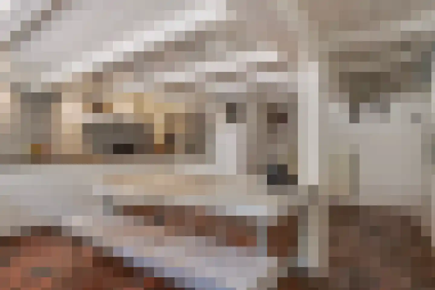 Kornputsingel 24 Steenwijk thumbnail 20