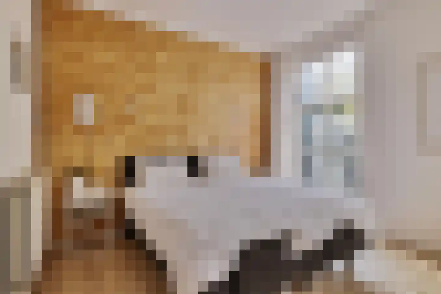 Kornputsingel 24 Steenwijk thumbnail 22