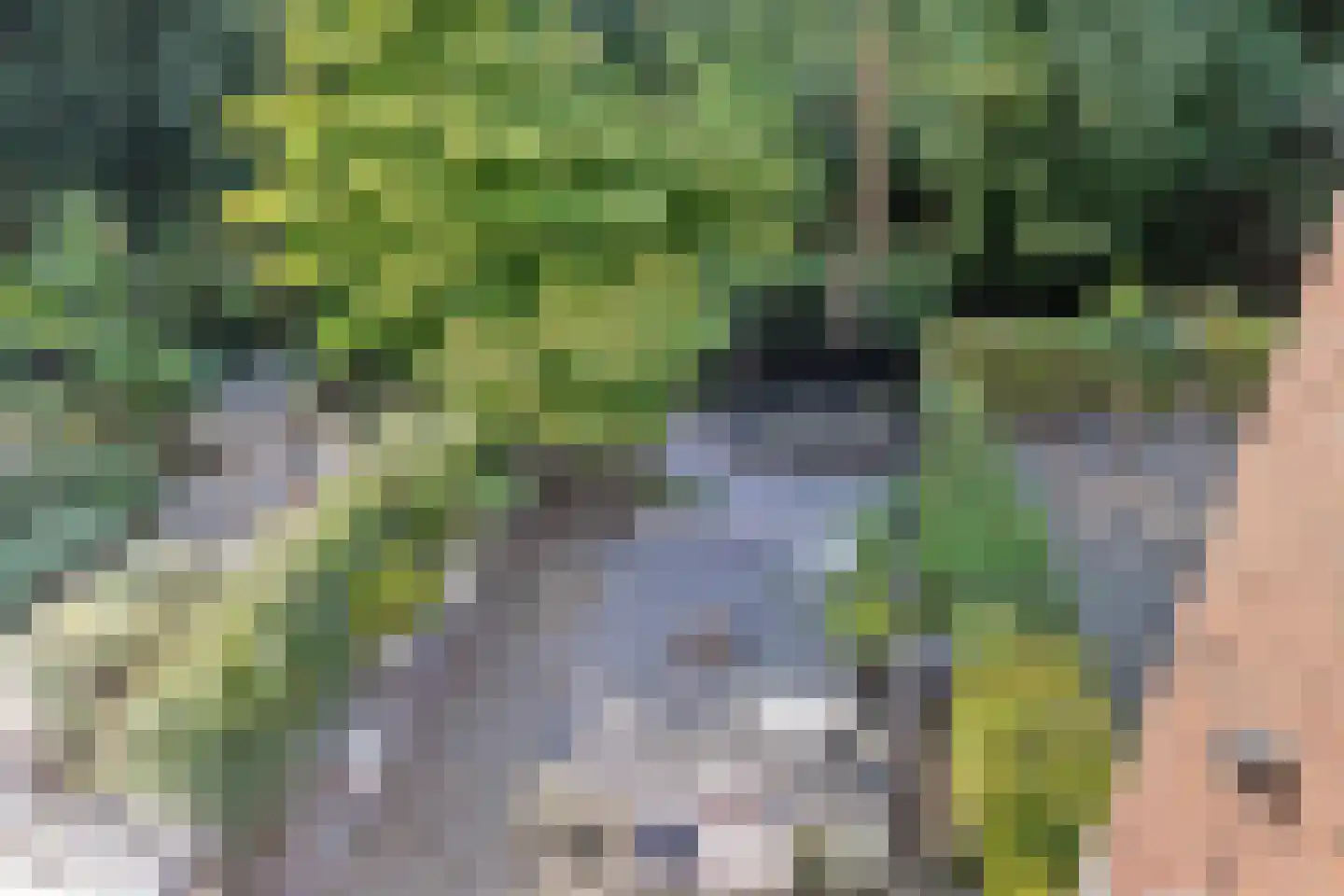 Kornputsingel 24 Steenwijk thumbnail 24