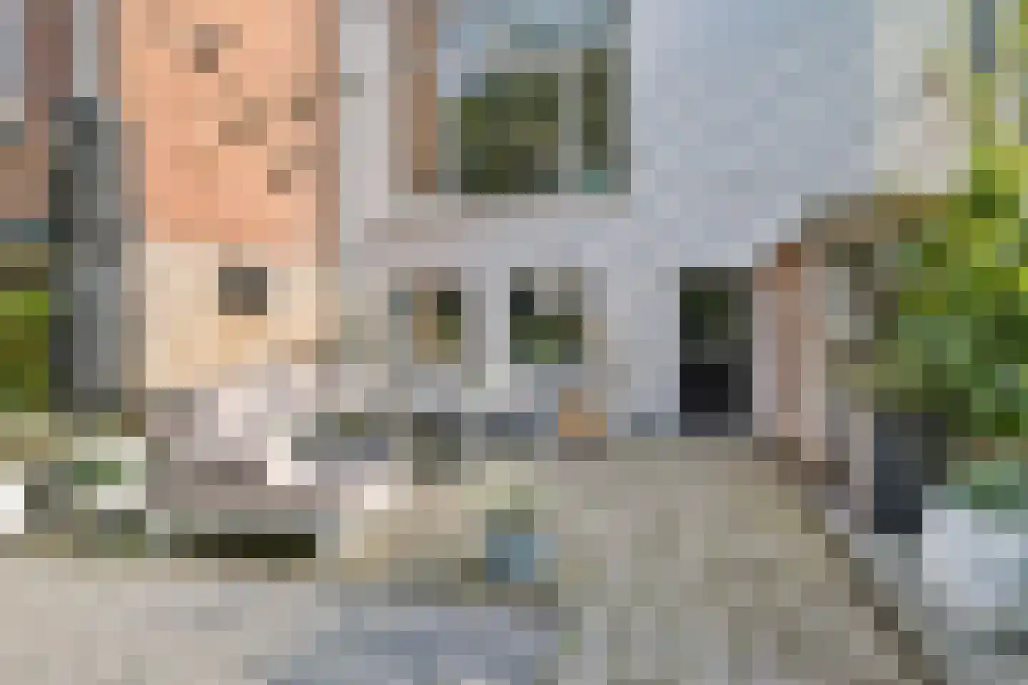Kornputsingel 24 Steenwijk thumbnail 37