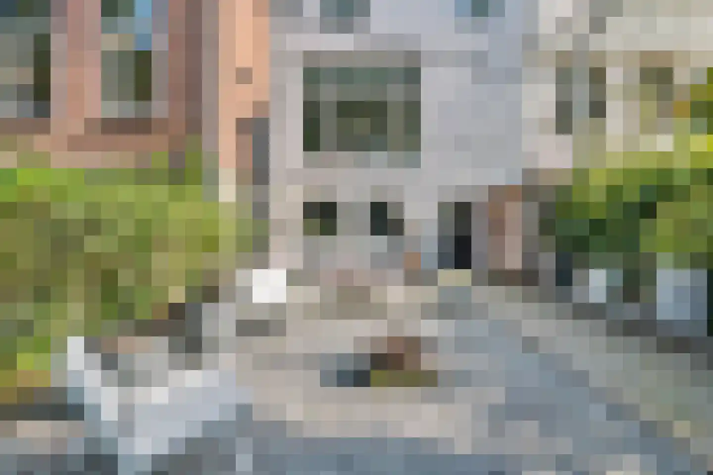 Kornputsingel 24 Steenwijk thumbnail 40
