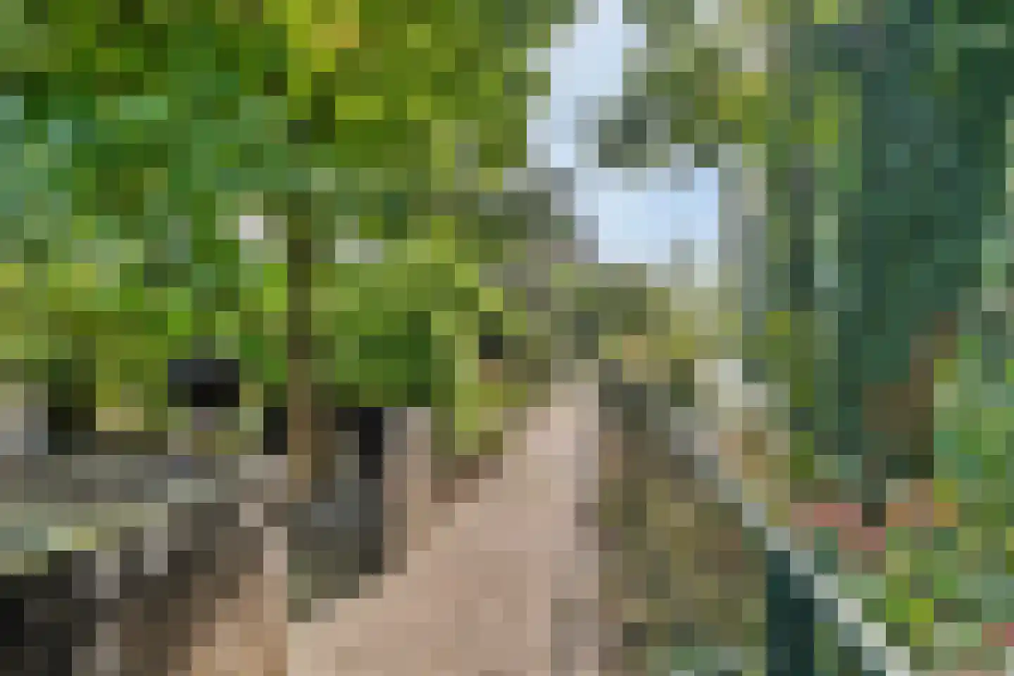 Kornputsingel 24 Steenwijk thumbnail 43