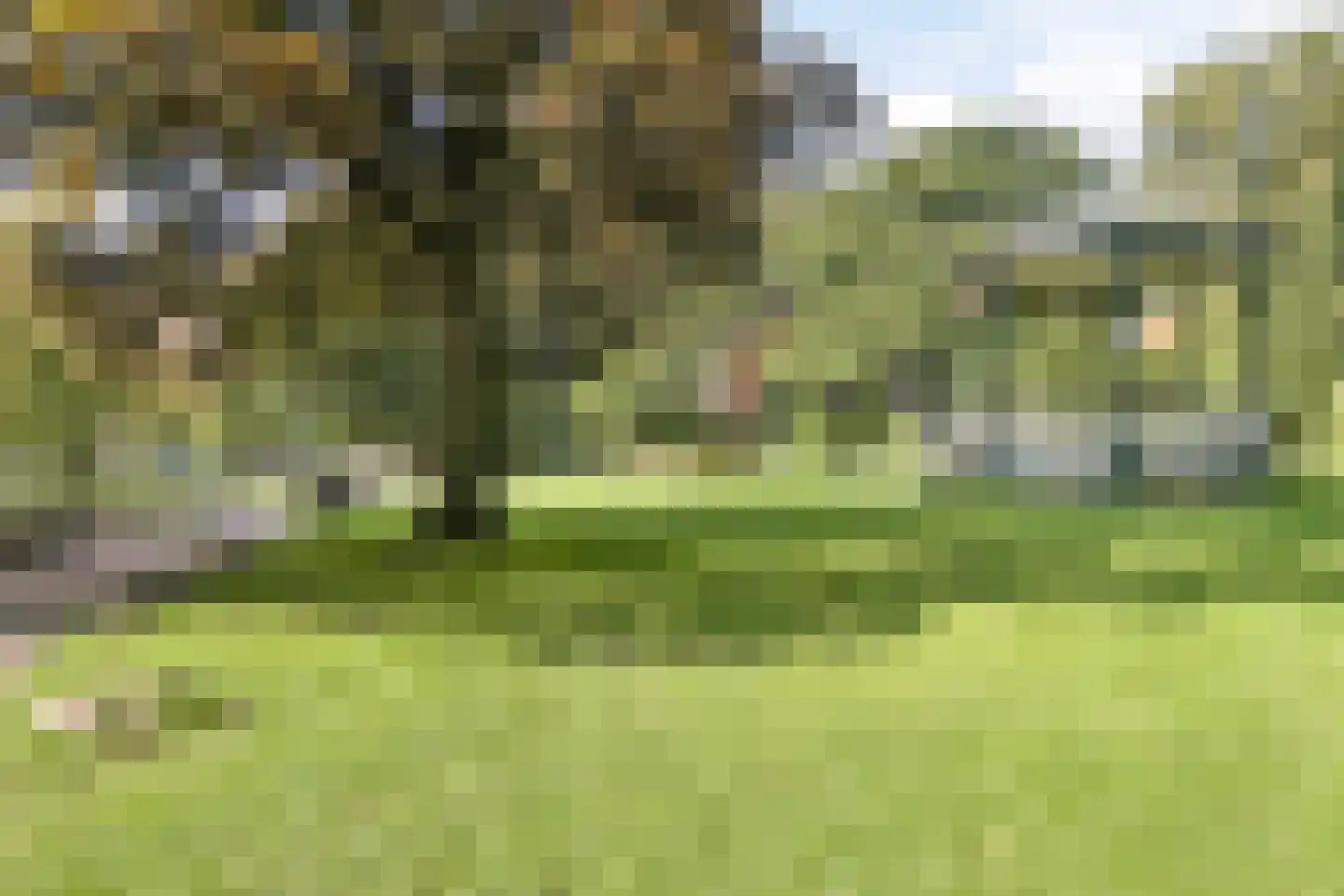 Kornputsingel 24 Steenwijk thumbnail 46