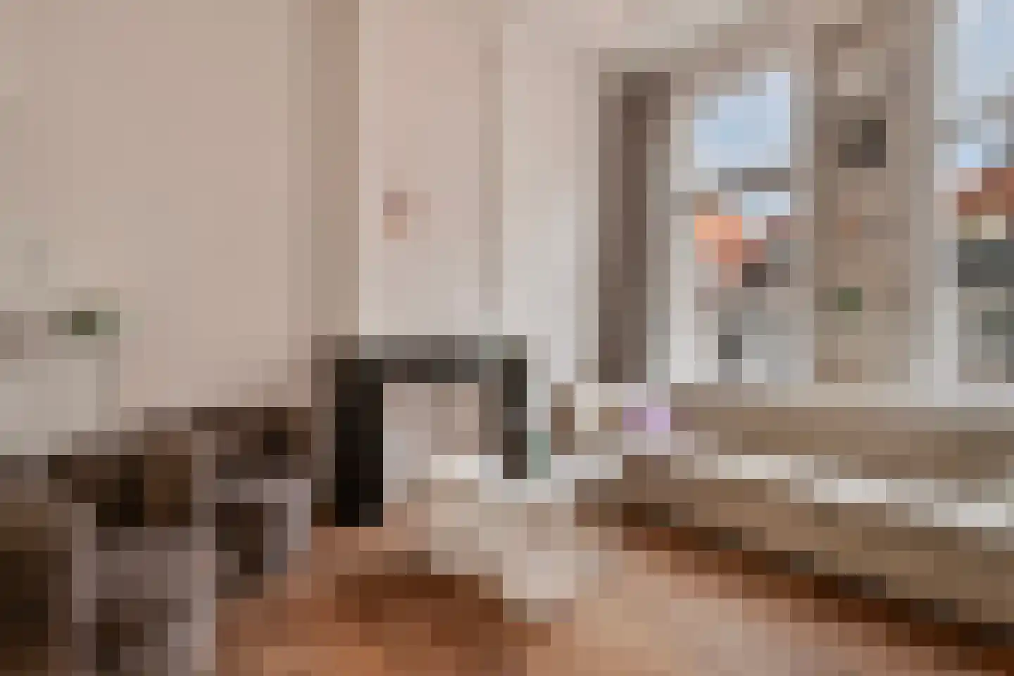 Kornputsingel 24 Steenwijk thumbnail 9
