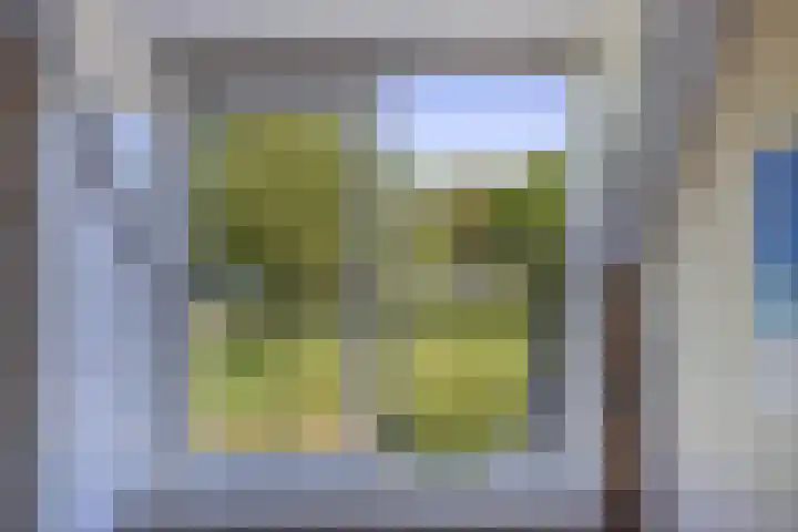 Kornwerd 40 Huizen thumbnail 17