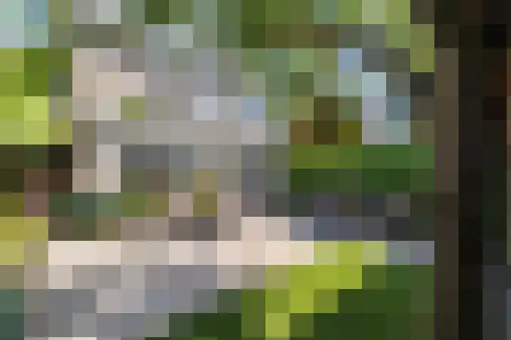 Kornwerd 40 Huizen thumbnail 31