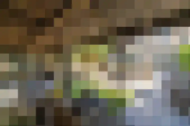 Kornwerd 40 Huizen thumbnail 33