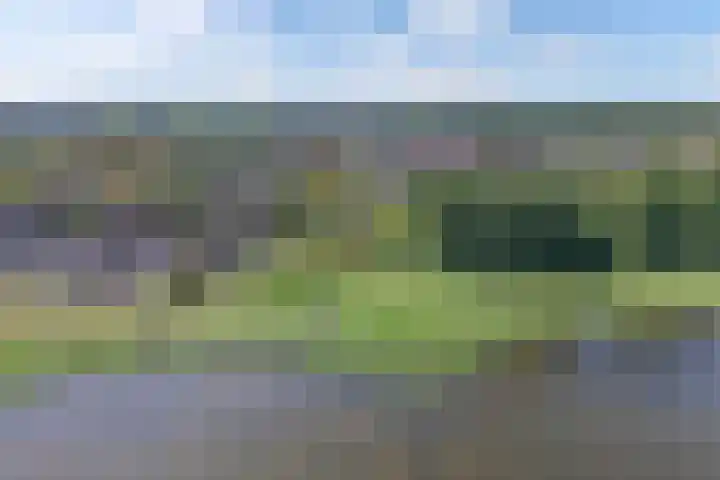 Kornwerd 40 Huizen thumbnail 37