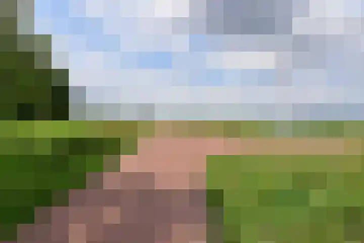 Kornwerd 86 Huizen thumbnail 4