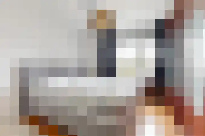 Kornwierde 110 Almere thumbnail 13