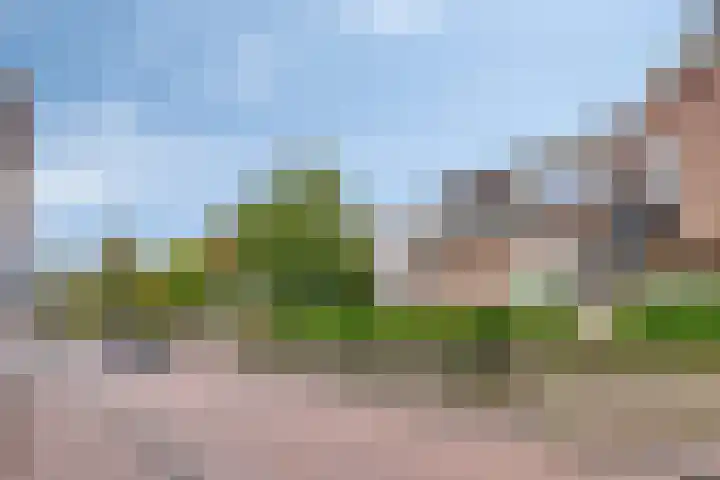 Kornwierde 113 Almere thumbnail 21