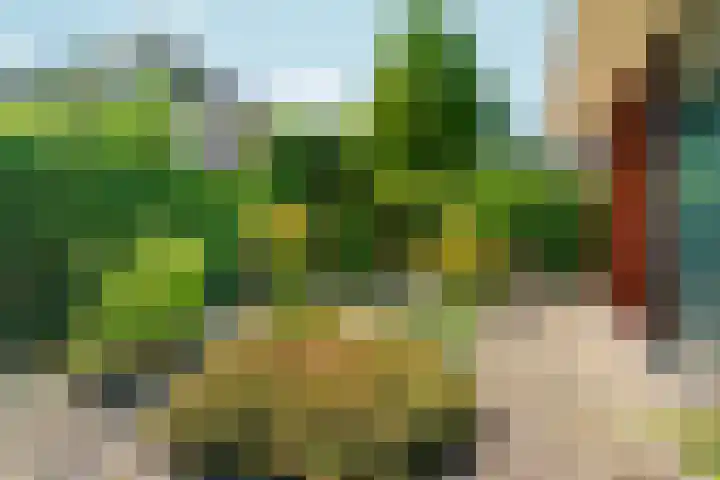 Kornwierde 113 Almere thumbnail 23