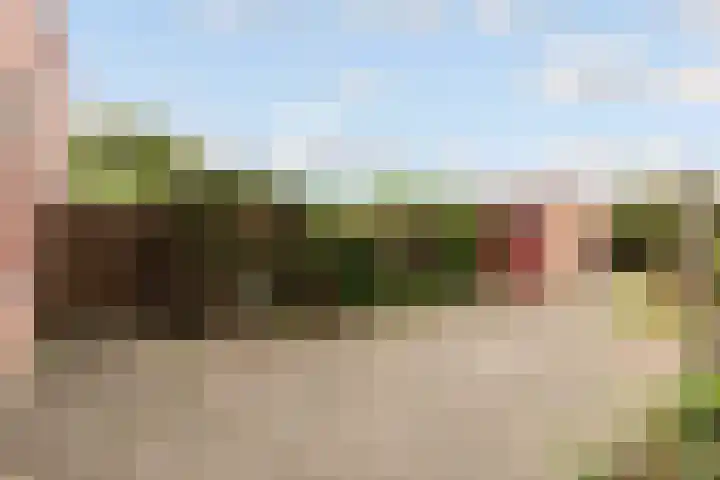 Kornwierde 113 Almere thumbnail 30