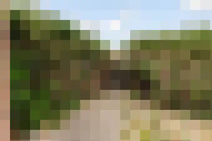 Kornwierde 113 Almere thumbnail 33