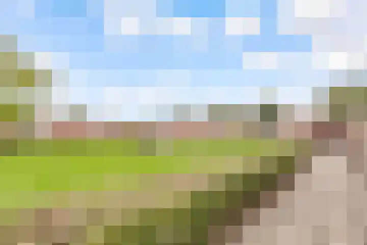 Kornwierde 136 Almere thumbnail 38